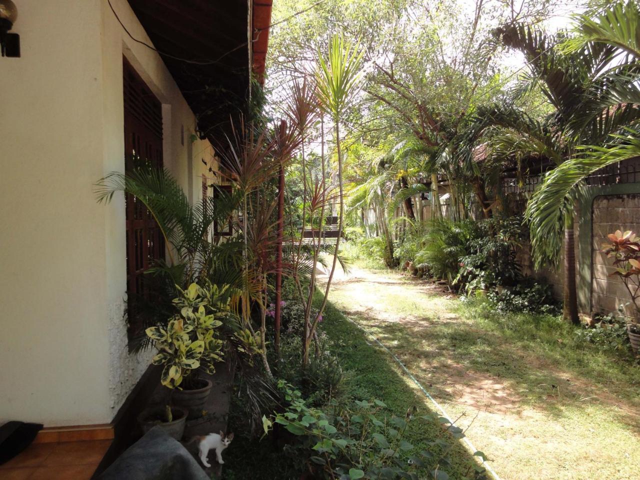 Lidwins Inn 15 Minutes To The Airport Negombo Eksteriør billede