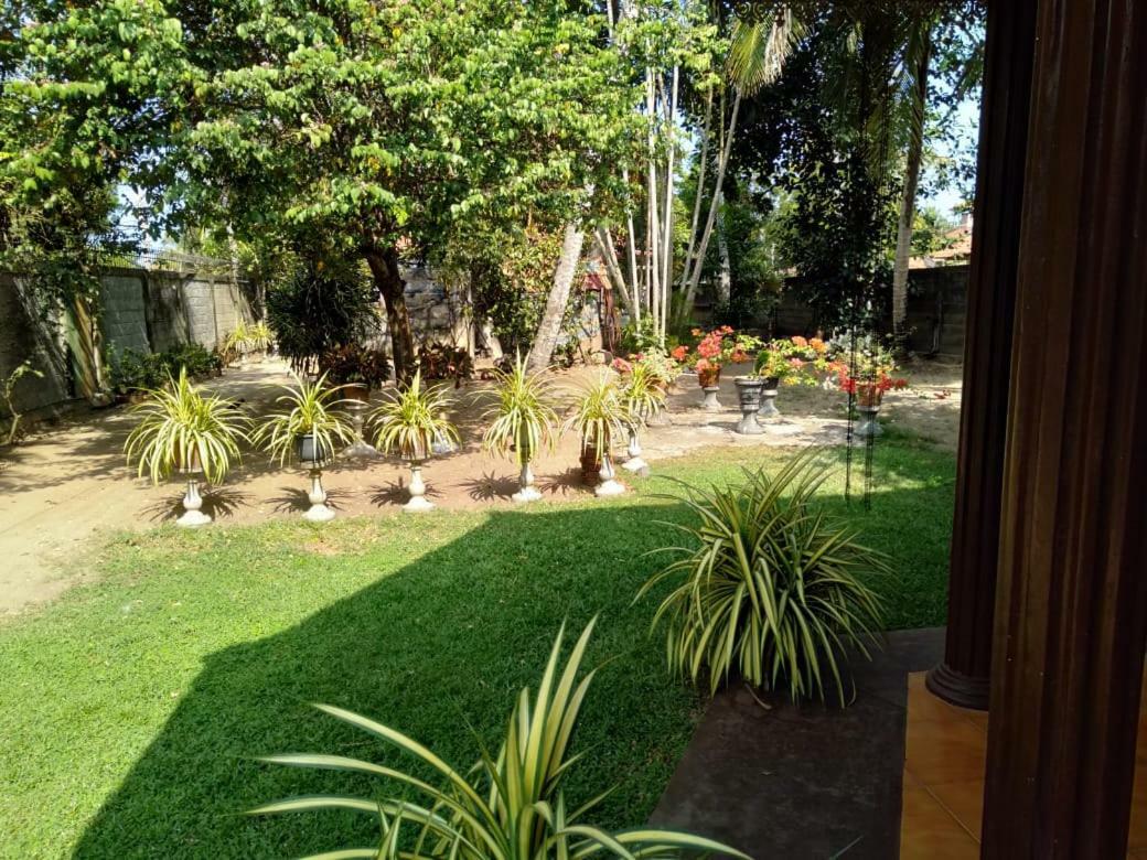 Lidwins Inn 15 Minutes To The Airport Negombo Eksteriør billede